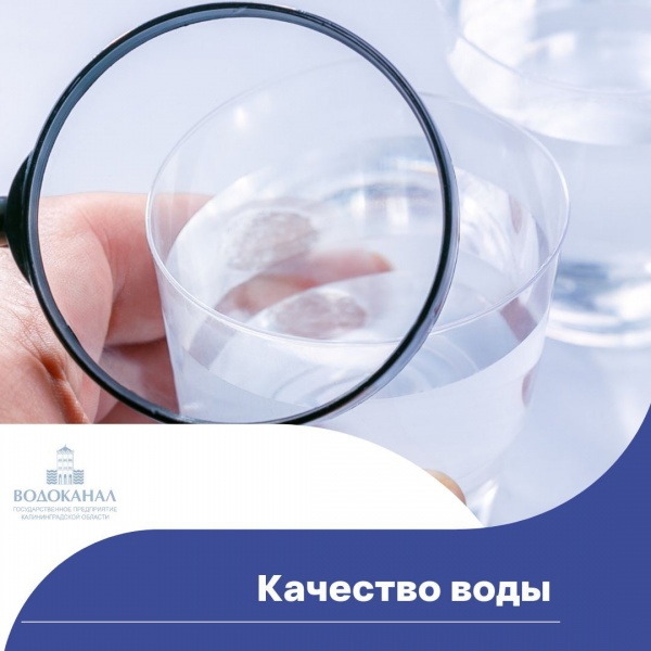 Информация о качестве воды в г. Калининграде за февраль 2022 года