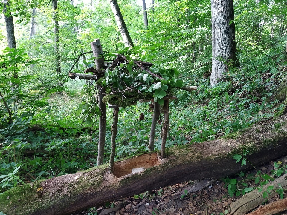 Знакомим наших читателей с замечательным сотрудником лаборатории очистных сооружений