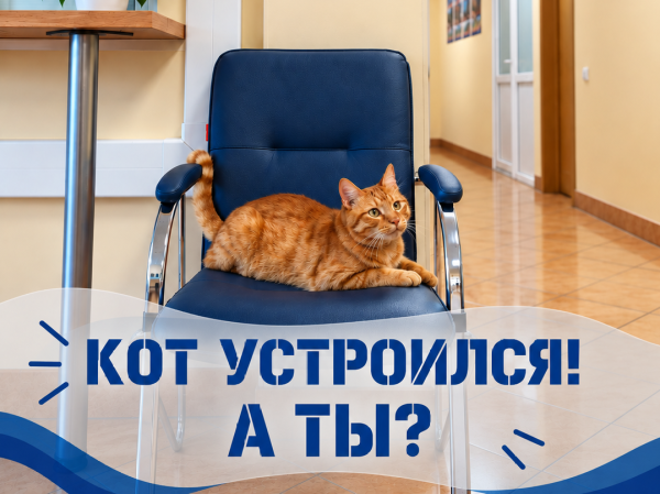 Приглашаем на работу в областной Водоканал!