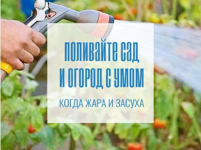 Когда жара и засуха поливайте сад и огород с умом